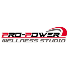 Pro Power Fitness Studio logo